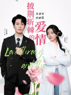 披荆斩棘的爱情