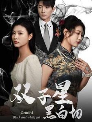 双子星黑白切