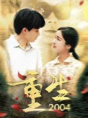 重生2004