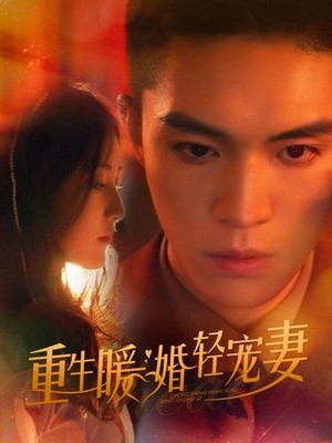 重生暖婚轻宠妻