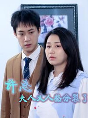 许总，夫人又人格分裂了