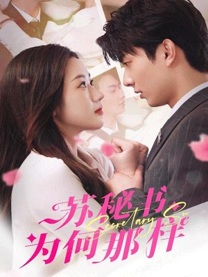 苏秘书为何那样