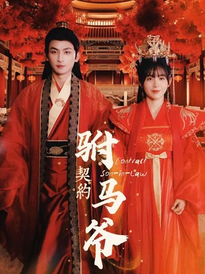 契约驸马爷