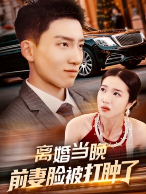 离婚当晚前妻脸被打肿了