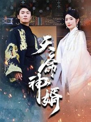 天命神婿