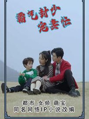 霸气封少宠妻忙