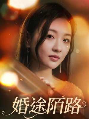 婚途陌路