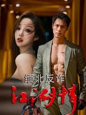 缅北反诈江湖情