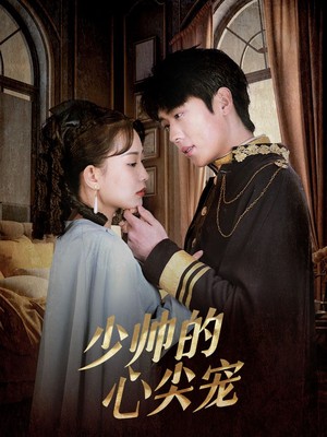 少帅的心尖宠