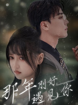那年刚好遇见你
