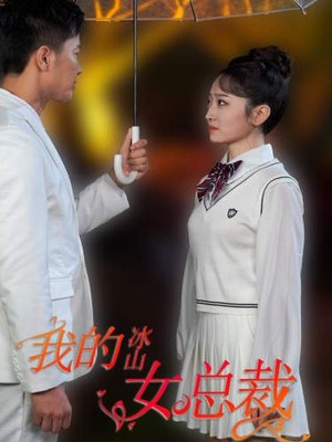 新：我的冰山女总裁