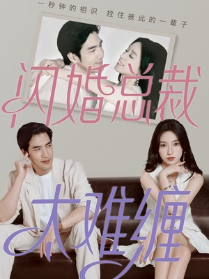 闪婚总裁太难缠