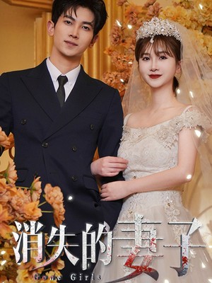 新：消失的妻子