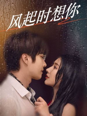 风起时想你
