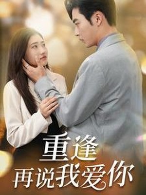 重逢再说我爱你