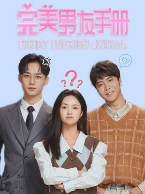 完美男友手册