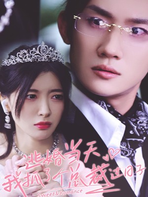 逃婚当天我抓了个总裁过日子