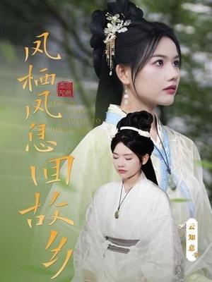 凤栖凤息回故乡