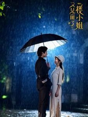 又见面了楼小姐