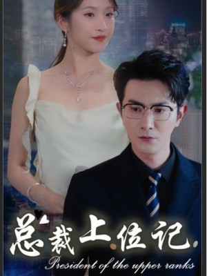 总裁上位记