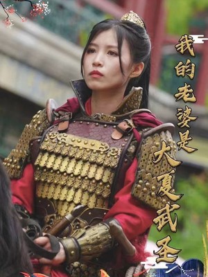 我的老婆是大夏武圣