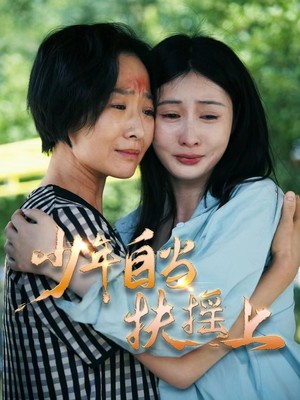 少年自当扶摇上