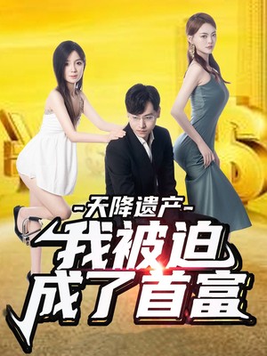 天降遗产，我被迫成了首富