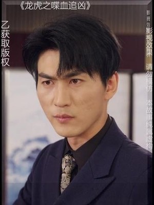 龙虎之喋血追凶