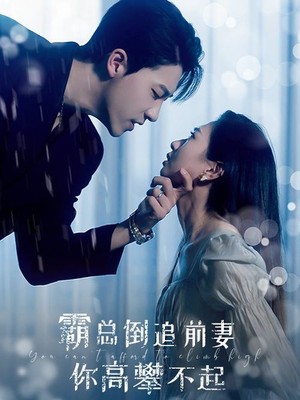 霸总倒追前妻你高攀不起