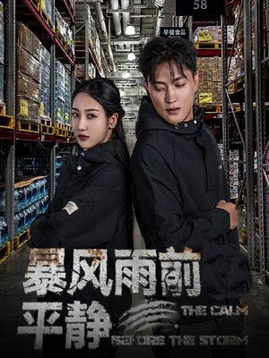 暴风雨前的平静