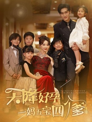 天降好孕，一妈五宝四个爹