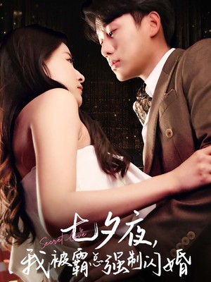 七夕夜我被霸总强制闪婚