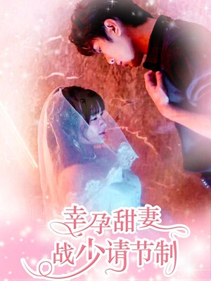 幸孕甜妻战少请节制