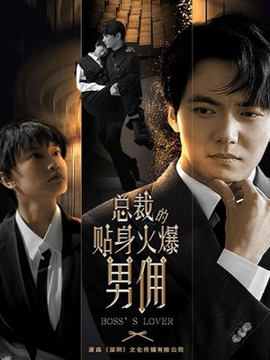 总裁的贴身火爆男佣