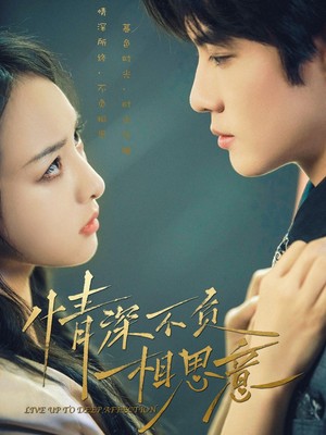 情深不负相思意