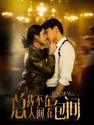 总裁不在人间在包间