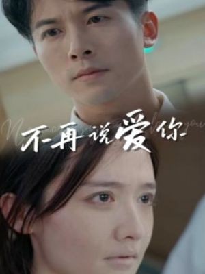 不再说爱你
