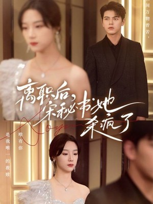 离职后，宋秘书她杀疯了