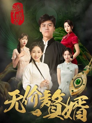 鉴宝传说之无价赘婿