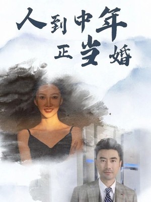 人到中年正当婚