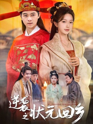 逆袭之状元回乡