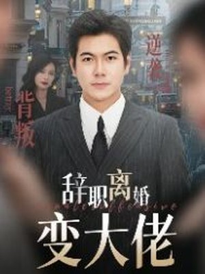 辞职离婚变大佬