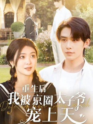 重生后我被京圈太子爷宠上天