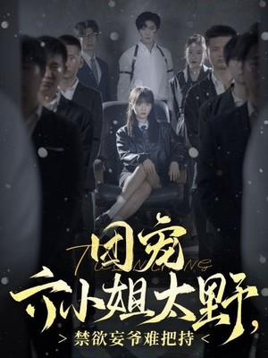 团宠六小姐太野，禁欲妄爷难把持