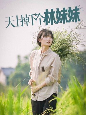 天上掉下个林妹妹