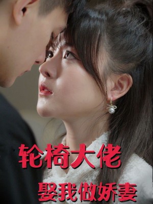 轮椅大佬娶我做娇妻