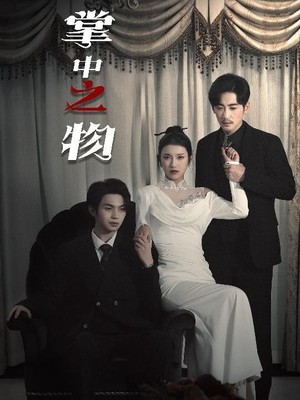 掌中之物