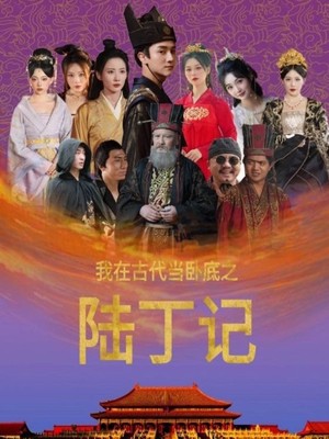 我在古代当卧底之陆丁记