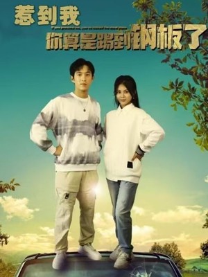 惹到我你算是踢到钢板了