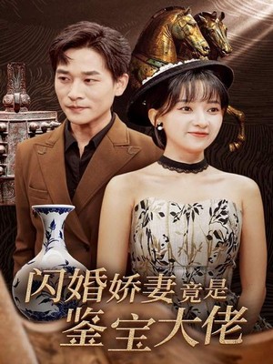 闪婚娇妻竟是鉴宝大佬